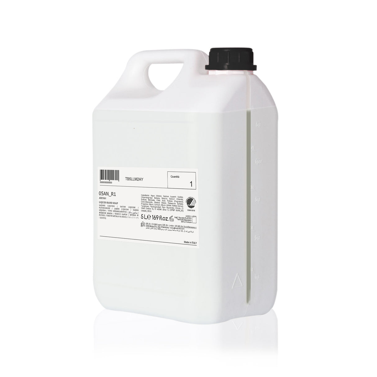 SAVON MAINS ANYAH ECOLABEL NORDIC SWAN BIDON 5L