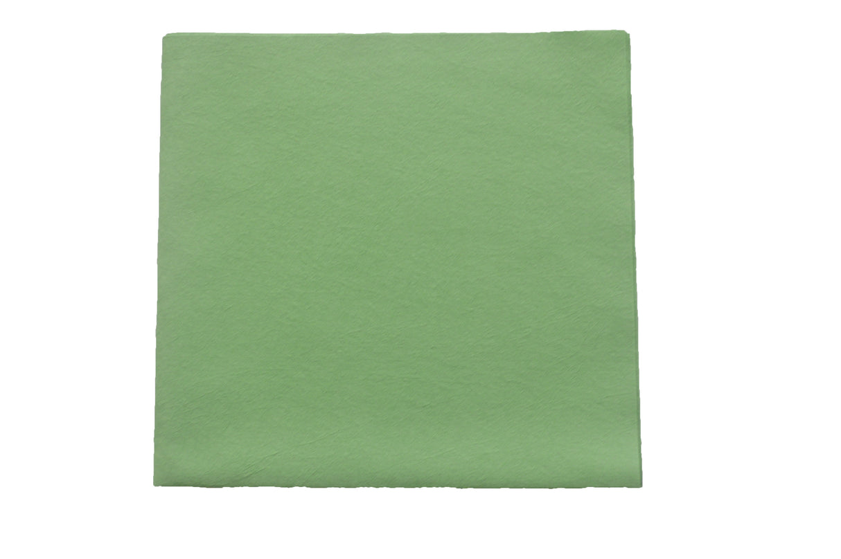 LAVETTE NON TISSEE EVOLON 130 40X42CM VERT VILEDA X5