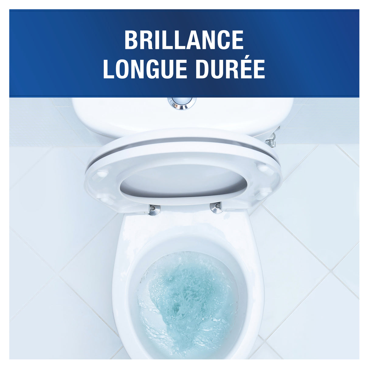 GEL WC DESINFECTANT B1 P&G PROFESSIONAL 750ML