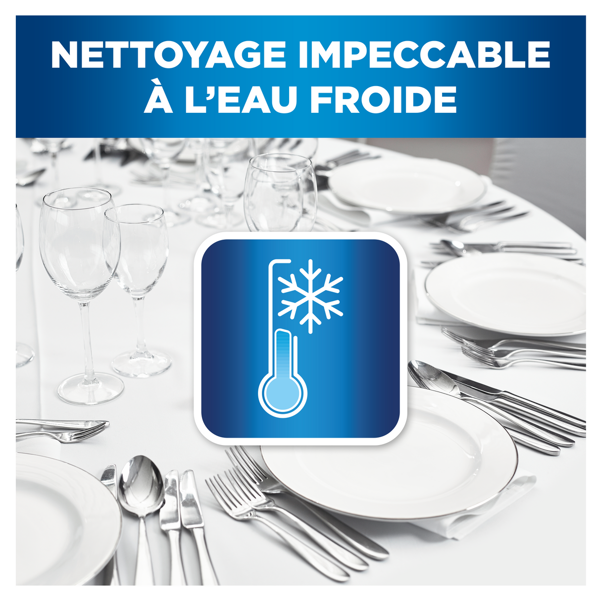 LIQUIDE VAISSELLE FAIRY K1.1 P&G PROFESSIONNEL 5L