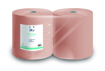 BOBINE DEVIDAGE CLASSIQUE TECHLINE CHAMOIS 1500 FORMATS 2 PLIS 20X30CM ECOLABEL X2
