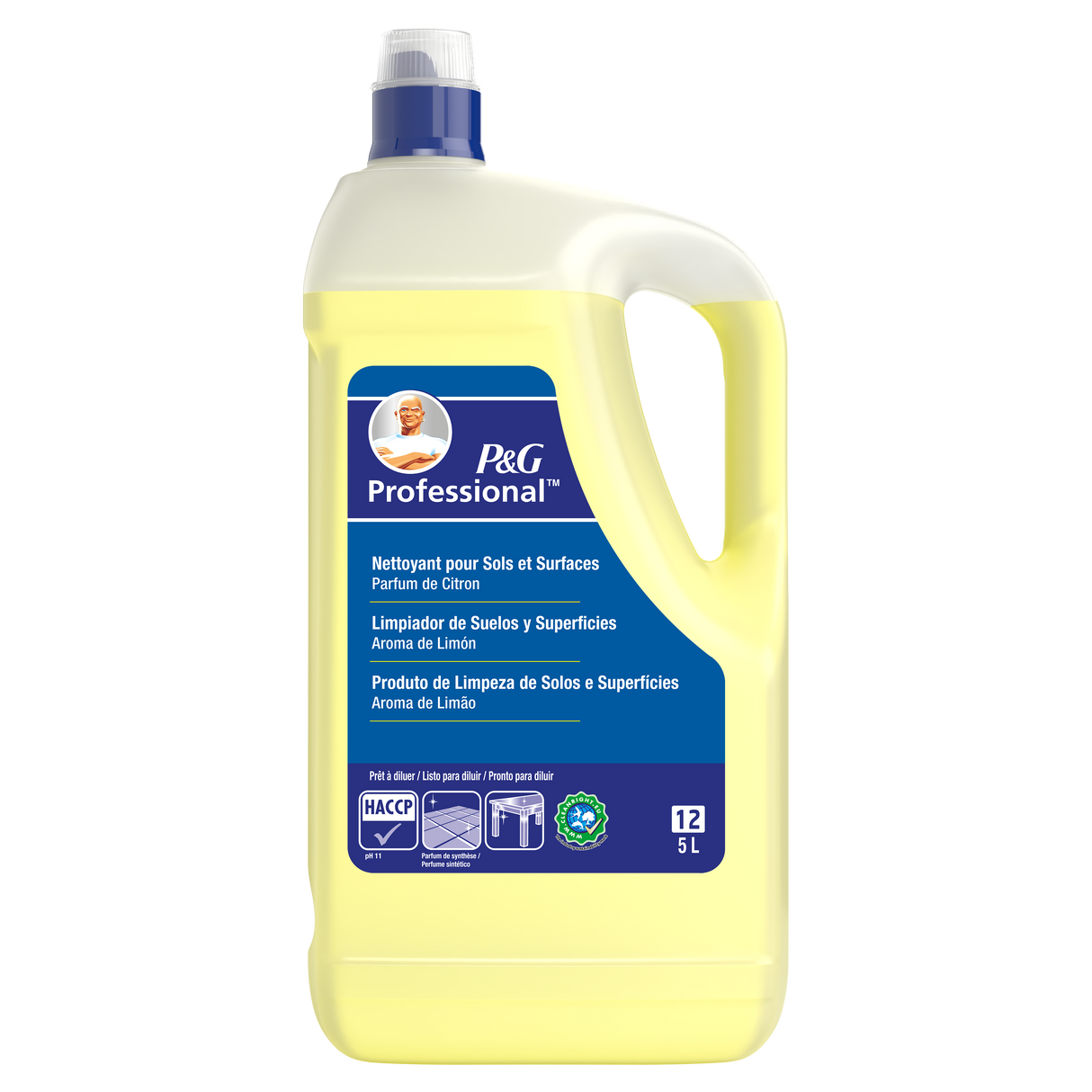 DETERGENT SOLS ET SURFACES P&G PROFESSIONNEL 5L