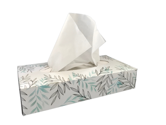 MOUCHOIR BOÎTE RECTANGLE TECHLINE 100 FORMATS 2 PLIS ECOLABEL X40