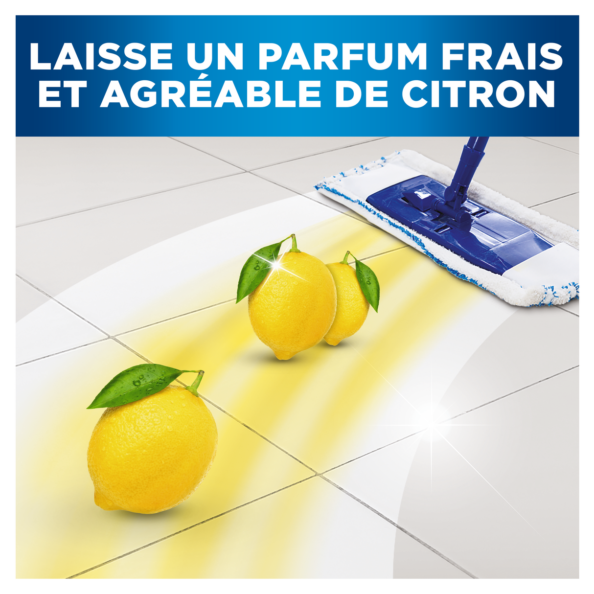DETERGENT SOLS ET SURFACES P&G PROFESSIONNEL 5L