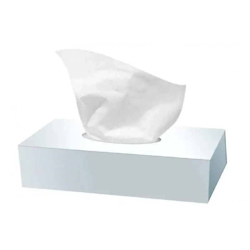 MOUCHOIR BOÎTE RECTANGLE TECHLINE BLANC 100 FORMATS 2 PLIS ECOLABEL BLANC X40