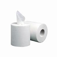 BOBINE DEVIDAGE CENTRAL TECHLINE BLANC 200 FORMATS 2 PLIS 20X25CM ECOLABEL X12