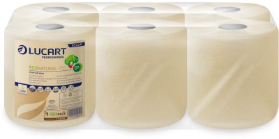 BOBINE DEVIDAGE CENTRAL ECONATURAL 450 FORMATS 2 PLIS 20X25CM ECOLABEL X6