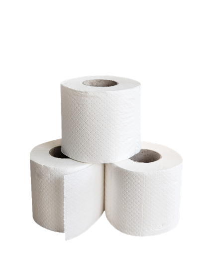 PAPIER TOILETTE PETIT ROULEAU TECHLINE POSITIVE BLANC 200 FORMATS 2 PLIS ECOLABEL X48