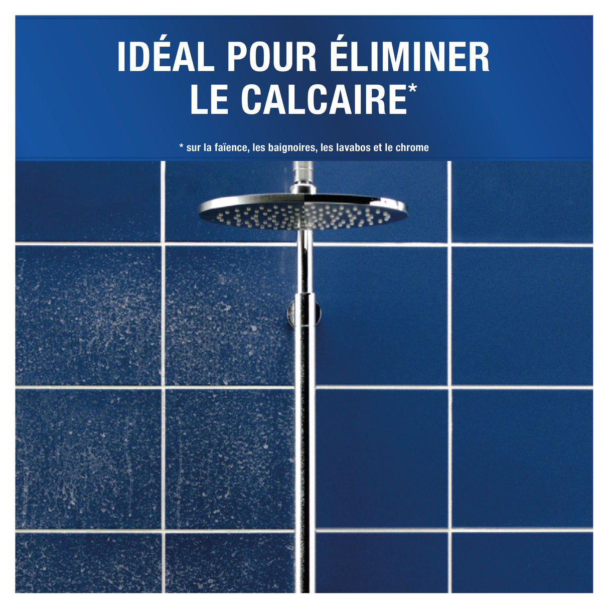 DETARTRANT DESINFECTANT PUISSANT ANTIKAL PROFESSIONAL 750ML