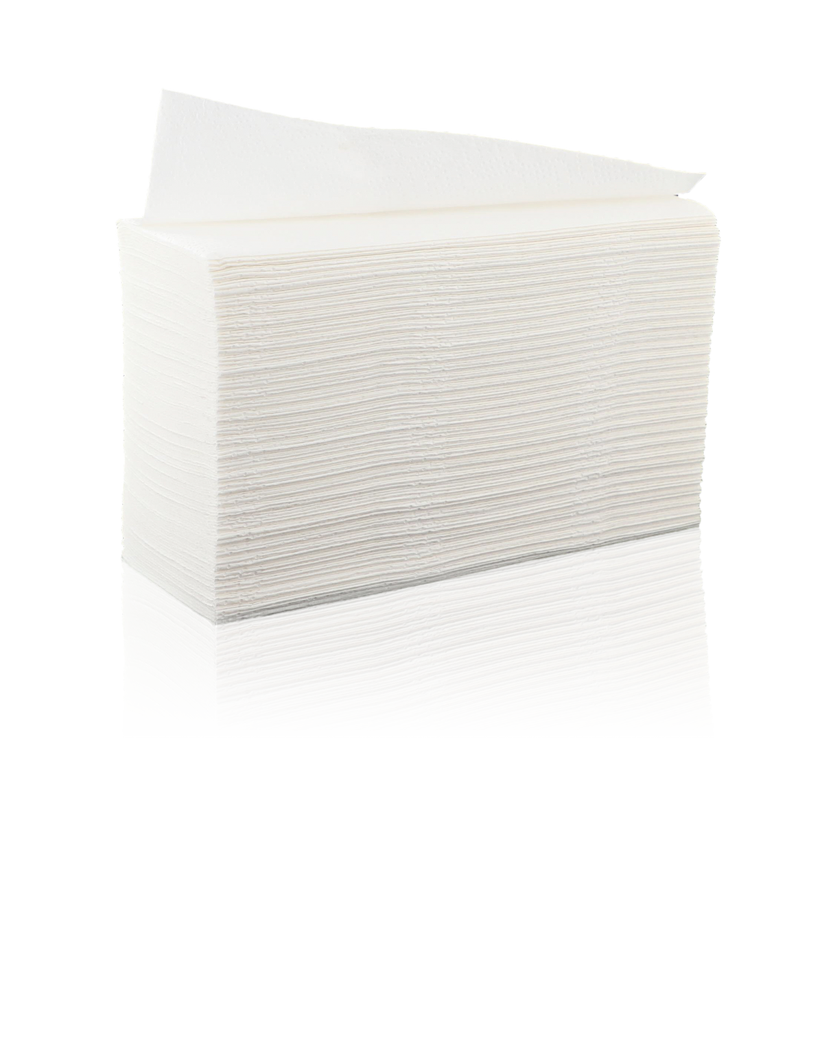 ESSUIE-MAINS PLIÉS EN Z TECHLINE BLANC 20X24CM 200 FORMATS 2 PLIS ECOLABEL X15