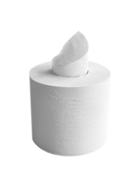 BOBINE DEVIDAGE CENTRAL BLANC 426 FORMATS 2 PLIS 19,5X30,5CM ECOLABEL X6