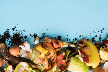Que faire de ses déchets alimentaires professionnels ?