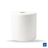 BOBINE DEVIDAGE CENTRAL BLANC 450 FORMATS 2 PLIS 20X24CM TECHLINE ECOLABEL X6