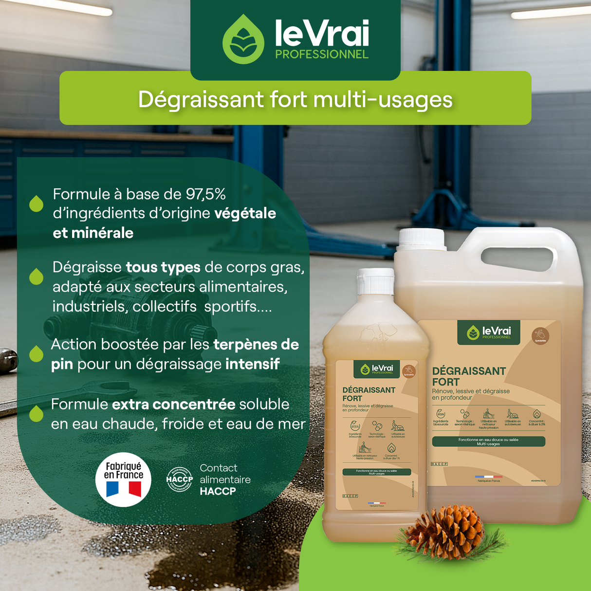 DEGRAISSANT FORT MULTI USAGES LE VRAI PROFESSIONNEL 5L