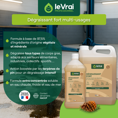 DEGRAISSANT FORT MULTI USAGES LE VRAI PROFESSIONNEL 5L