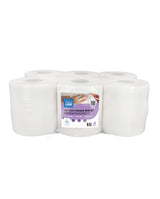 BOBINE DEVIDAGE CENTRAL BLANC 450 FORMATS 2 PLIS 20X24CM TECHLINE ECOLABEL X6