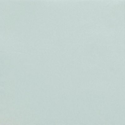 SERVIETTE 38X38CM OUATE GAUFRÉE TECHLINE 2 PLIS BLANC X900