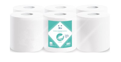 BOBINE DEVIDAGE CENTRAL TECHLINE BLANC 450 FORMATS 2 PLIS 20X30CM ECOLABEL X6