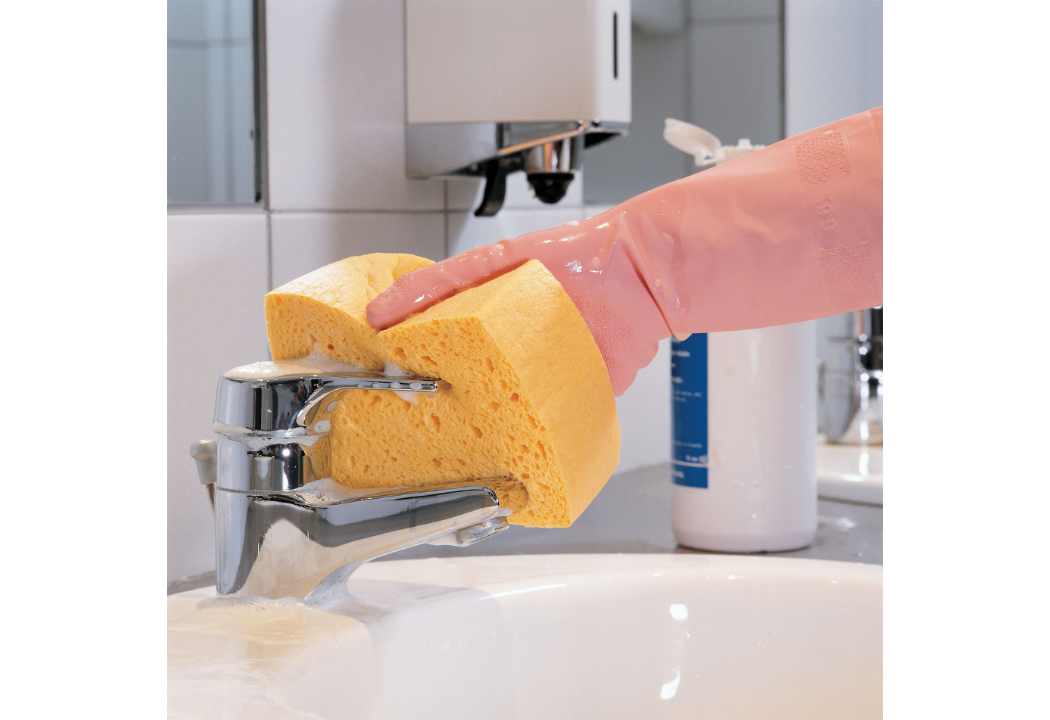 EPONGE N°6 AZELLA 25 TRADITION SECHE X10