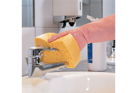 EPONGE N°6 AZELLA 25 TRADITION SECHE X10