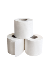 PAPIER TOILETTE PETIT ROULEAU TECHLINE POSITIVE BLANC 200 FORMATS 2 PLIS ECOLABEL X48