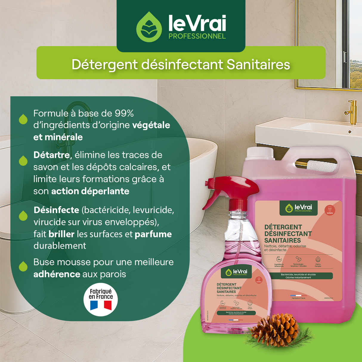 DETERGENT DESINFECTANT SANITAIRES LE VRAI PROFESSIONNEL 5L