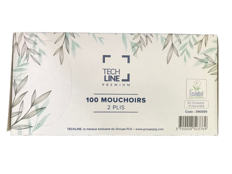 MOUCHOIR BOÎTE RECTANGLE TECHLINE 100 FORMATS 2 PLIS ECOLABEL X40