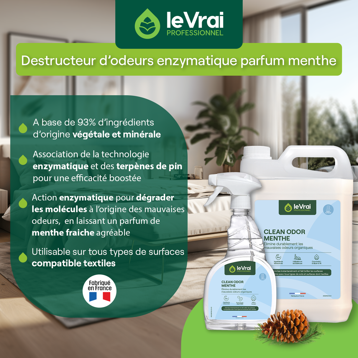 NETTOYANT DESTRUCTEUR D'ODEUR CLEAN ODOR MENTHE LE VRAI PROFESSIONNEL5L