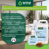 NETTOYANT DESTRUCTEUR D'ODEUR CLEAN ODOR MENTHE LE VRAI PROFESSIONNEL5L