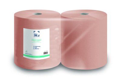 BOBINE DEVIDAGE CLASSIQUE TECHLINE CHAMOIS 1000 FORMATS 2 PLIS 19,4X30CM ECOLABEL X2
