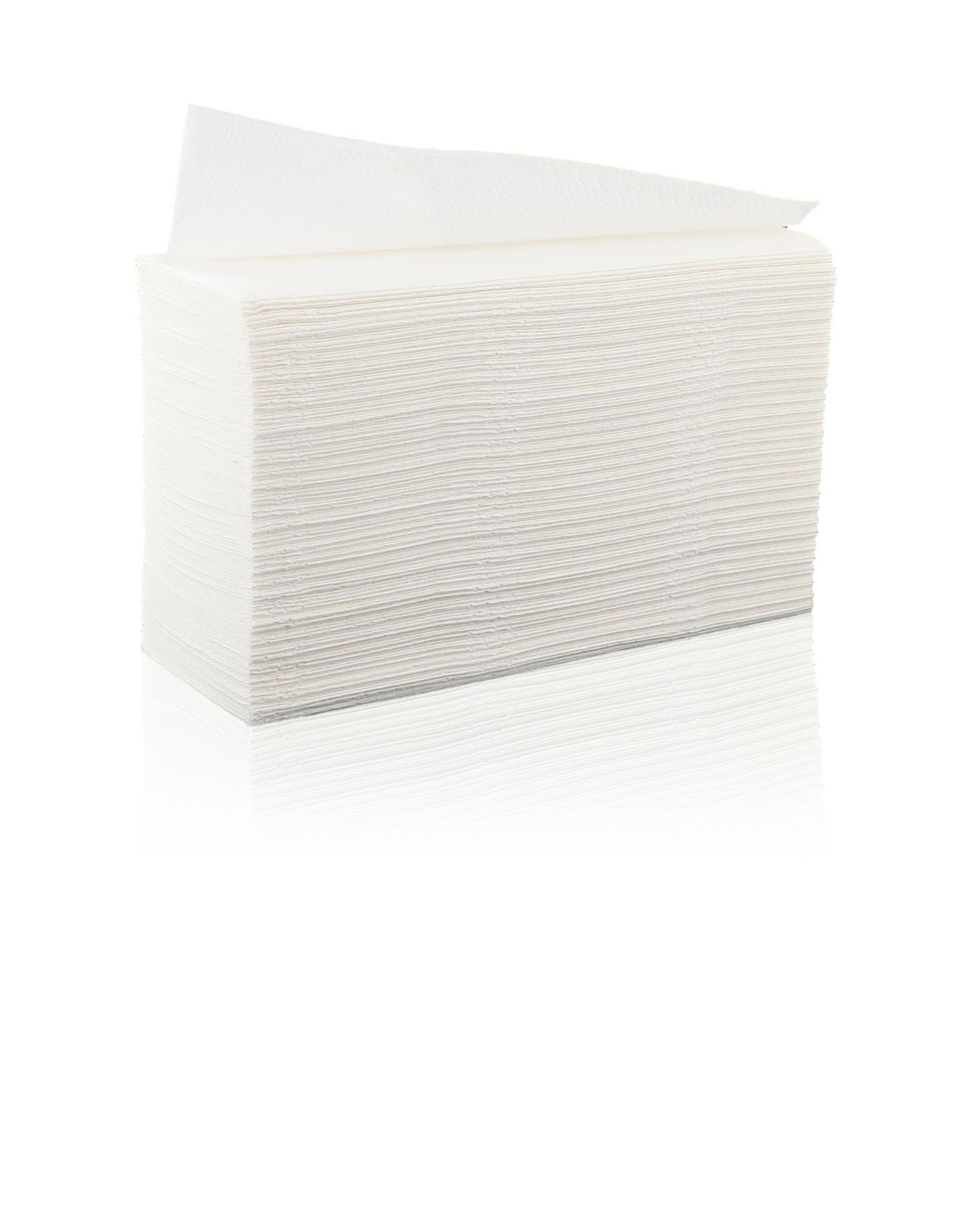 ESSUIE-MAINS PLIÉS EN Z TECHLINE BLANC 20X24CM 200 FORMATS 2 PLIS ECOLABEL X15